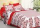KC140096 - Double Bed Premium Quality Cotton Bedsheet